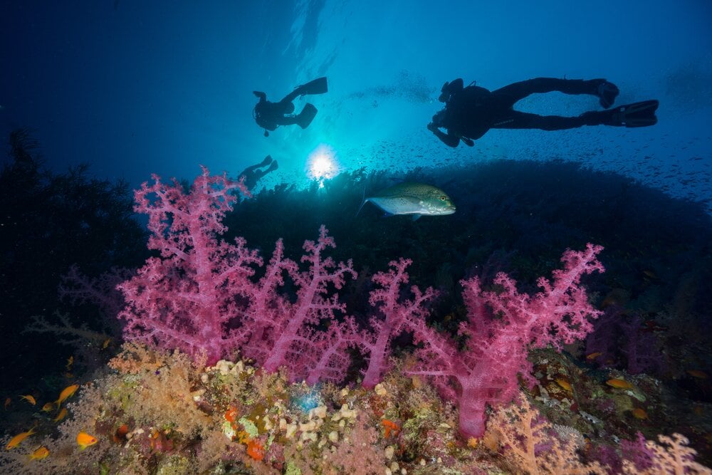 Locuri cunoscute pentru a face diving